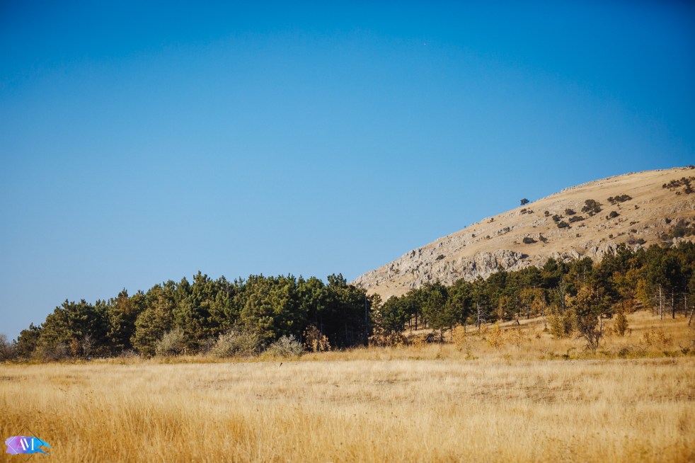 Alex_Morgoci (2 of 22)