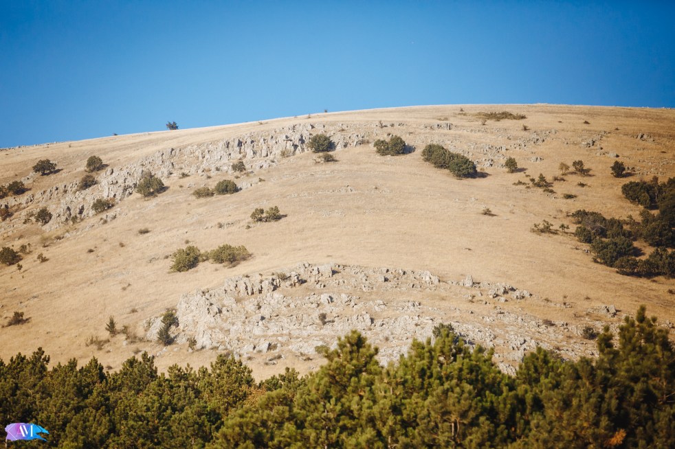 Alex_Morgoci (3 of 22)