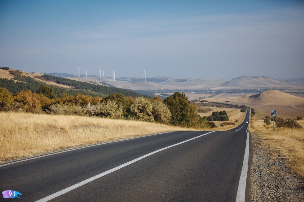 Alex_Morgoci (6 of 22)