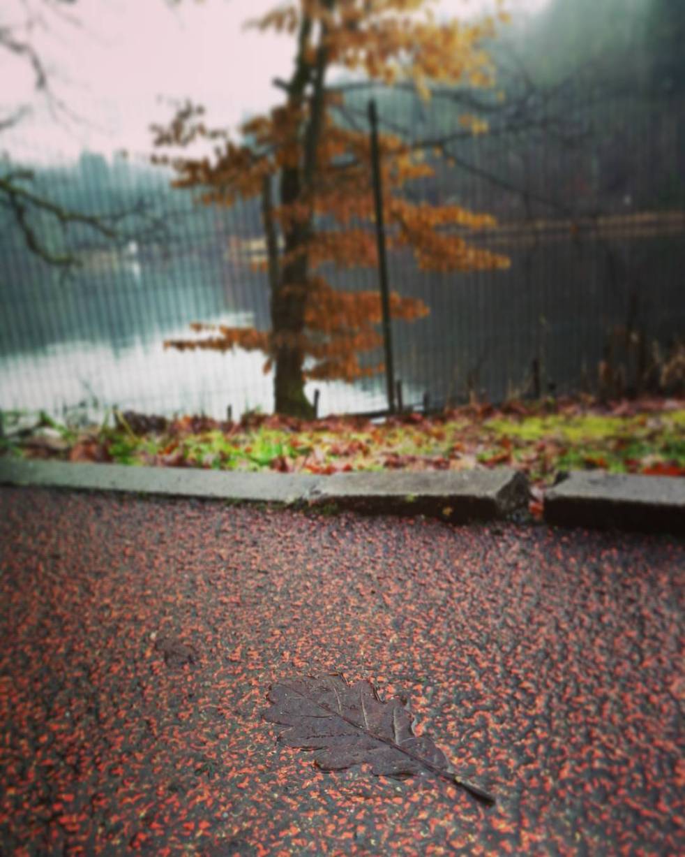 25035904_135410103821630_5024959342290403328_n