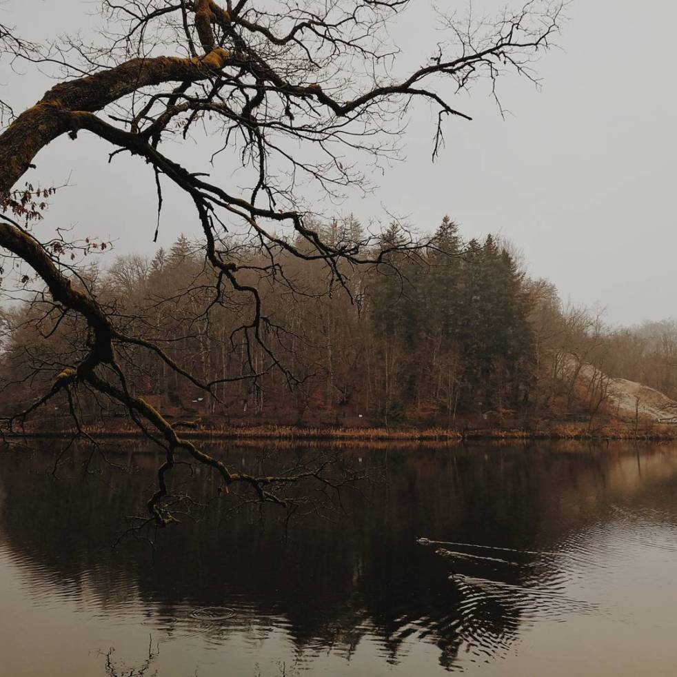 26382704_150557718936516_4499168651345133568_n